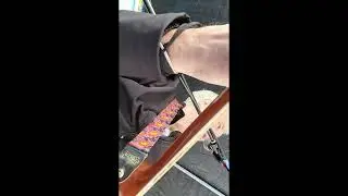 Heal The Land - Gig Live @ DEED Eco Festival