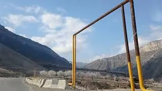 гергебильский базар / собираю крапиву