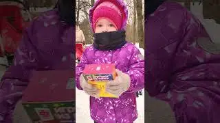 Волшебство случается. Как и встреча с Дедом Морозом в парке на прогулке. #хаски #хаскивупряжке