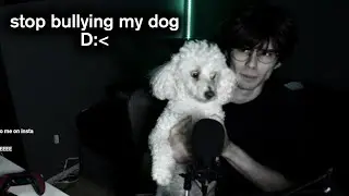 Roasting Your Pets on Discord Because You Bullied Mine