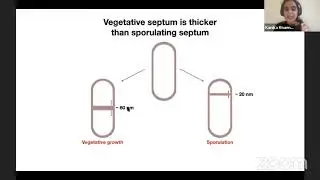Kanika Khanna: Asymmetric localization of divisome during Bacillus subtilis sporulation