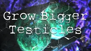 Grow Bigger Testicles -- Subliminals RIfe Biokinesis Hypnosis Frequencies Potion