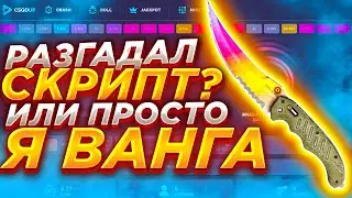 🔥 РАЗГАДАЛ СКРИПТ КРАШ САЙТОВ И ПОДНЯЛ 300$ НА КС ГО АП 🔥 МОЖЕТ БЫТЬ Я ВАНГА? 🔥 MEST 🔥