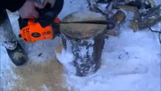 Таёжная свечка от Шмеля и Деда Земляного...