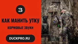 3.  Как манить утку.  Охота с Бак Гарднер. Кормовые звуки. Русская озвучка.