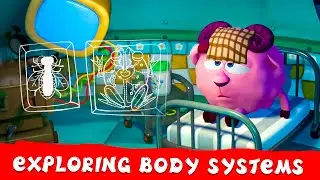 PinCode | Exploring Body Systems 🩻 Best episodes collection | Cartoons for Kids