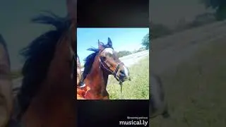 Circolo Ippico Masseria Mofetta - estate 2017