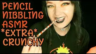 Pencil Nibbling ASMR *Extra Crunchy*