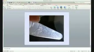 Esther Angert: Go Big- DNA Dynamics of Very Large Bacteria
