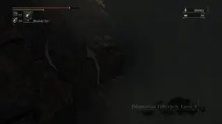 Thank You Bloodborne