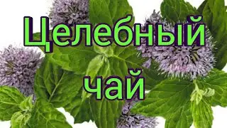 Целебный чай дающий энергию.Чай Чингисхана. Душица, мята и зверобой творят чудеса.