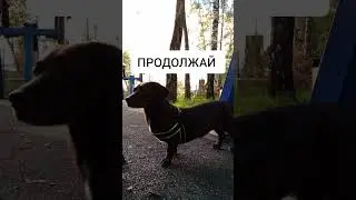 у каждого свой рай. выбери свой #начниссебя #мояжизнь #яхочу
