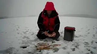 Фанера на 
