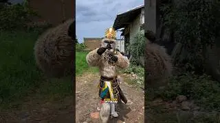 Begini cara pakai kostum HANOMAN yang lagi viral