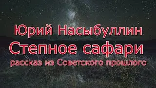 Ю.К.Насыбуллин 