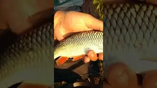 Анонс к ролику  
