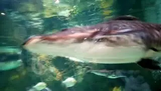 2019 03 19 привет