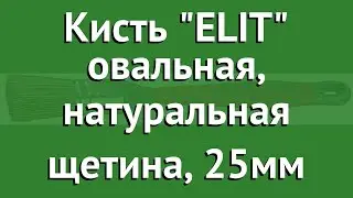 Кисть ELIT овальная, натуральная щетина, 25мм (Kraftool) обзор 1-01016-25