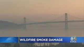 Wildfire Smoke Revealed To Be More Damaging Than Originally Believed