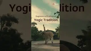 Isha Hatha Yoga Teacher Training 2022- Admissions open! 
