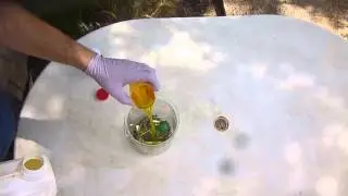 Добыча золота из старых компьютеров  Часть вторая  Gold extraction from old computers