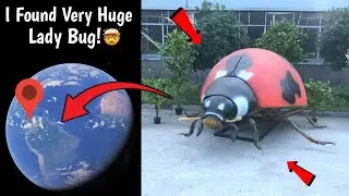😰 I Found Very Huge Lady Bug Sculpture 🐞 On Google Earth and Google Maps! #googleearth