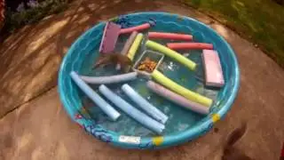 videoplayback 5