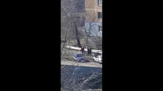 🥺 Жахлива реальність Маріуполя - Полк 