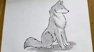 How to draw a wolf || Easy wolf drawing for beginners