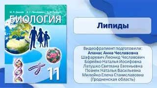 Тема 6. Липиды
