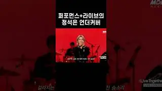 퍼포먼스+라이브의 정석은 언더커버 