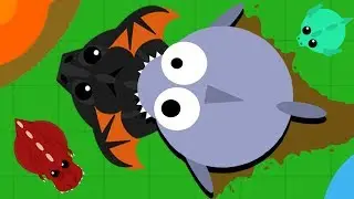How to FLY a Shark in Mope.io