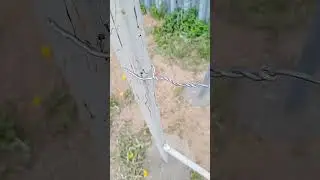 Самое быстрое натяжение проволоки виноградной шпалеры. Талрепы - пора в утиль!