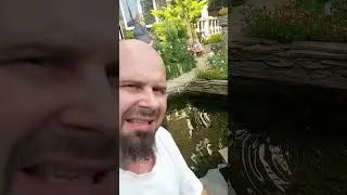 29.08.24. Рыбки в фонтане а также перенос общественной организации на косую гору