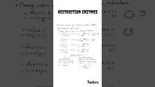 Restriction Enzymes | Restriction Endonuclease | Restriction Enzymes class 12 | Biotechnology CSIR