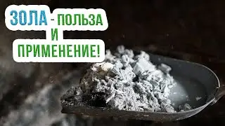 Использование золы в огороде. Древесная зола как удобрение и средство борьбы с вредителями