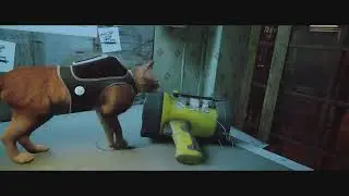 Stray (PS5). Знакомство с Доком