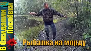Рыбалка на морду.Ловим карасей.Спасаем пруд.