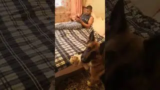 Уговорили вдвоем! Женский сговор