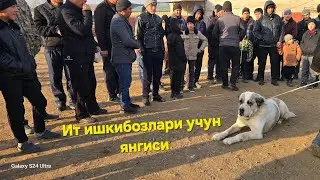 Ит ишкибозлари учун Намангандан 2025 йил