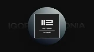 Igor Pumphonia - Took It From Me