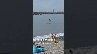 в Москве снег, а в Сочи жара. Дом в Сочи. @domvsochi #домвчочи #shorts