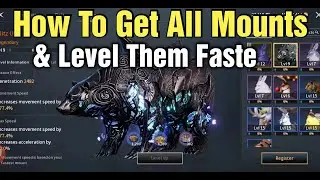Traha Global How To Get All Mounts & Level Them Faster For Lots Of CP