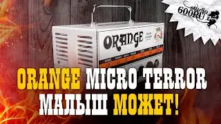 ORANGE micro terror! Малыш МОЖЕТ!