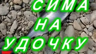 Первая СИМА 2018 .1.06.
