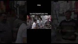 Что вы думаете про возможно поехать в тур с незнакомыми людьми?