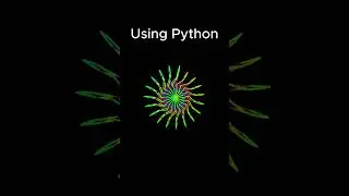 How to create graphics using Python turtle 🐍🐢 