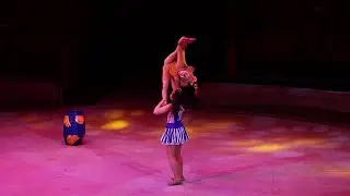 Children's circus studio 