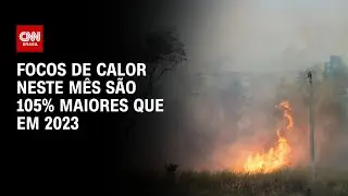 Focos de calor neste mês são 105% maiores que em 2023 | CNN 360°