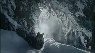 Сплин - Волк